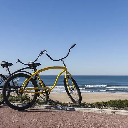 Homemoel Local Accomodation Al 3* São Pedro de Muel